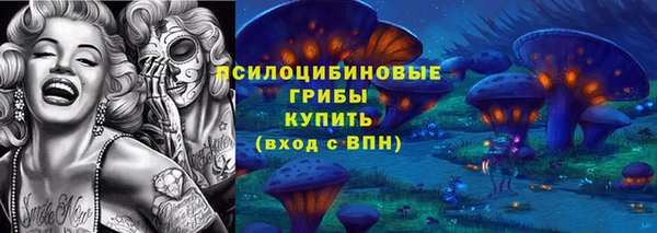молекула духа Заволжск