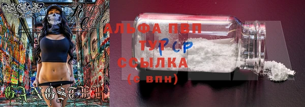 молекула духа Заволжск