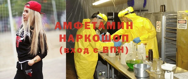 PSILOCYBIN Инсар