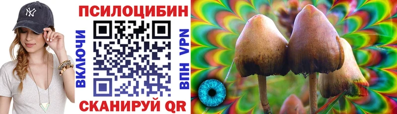 Купить где  Глазов  Псилоцибиновые грибы мухоморы 